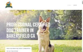Tail Of Success website