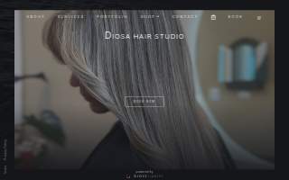 Diosa Hair Studio
