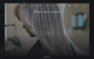 Diosa Hair Studio website