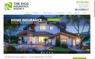 Rios Insurance Agency (The)