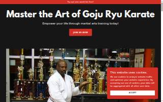 Japan Martial Arts Academy of Bakersfield