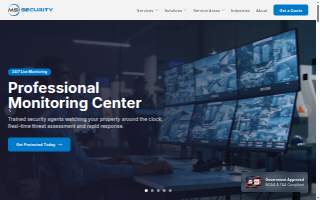 MSI Security