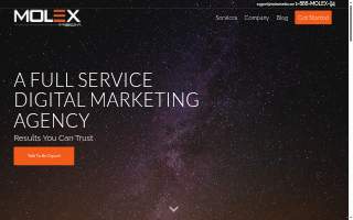 Molex Media