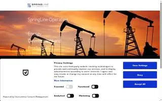 Springline Roofing website