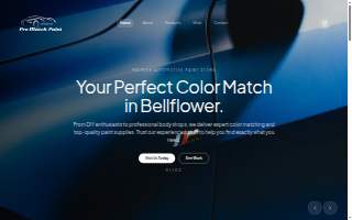 Pro Match Paints