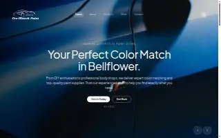 Pro Match Paints website