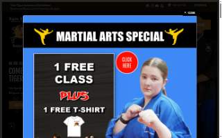 Twin Tigers Academy of Self Defense