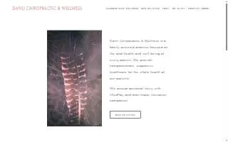 Danli Chiropractic & Wellness website