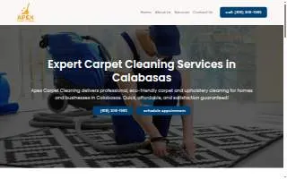 Apex Carpet Cleaning Service website