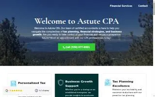 Astute CPA website