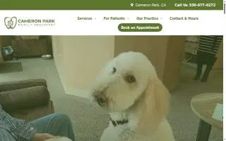 Cameron Park Family Dentistry website
