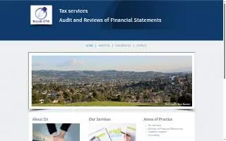 bryzek cpa website