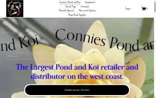 Connie's Pond and Koi