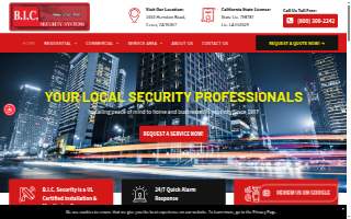 Bic Security Systems website