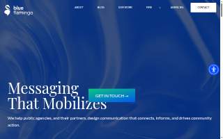 Blue Flamingo Group