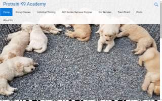 Protrain K9 Academy