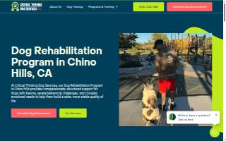 Critical Thinking Dog Services