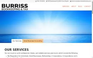 Burriss Bookkeeping & Tax Services website