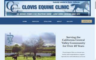 Clovis Equine Clinic
