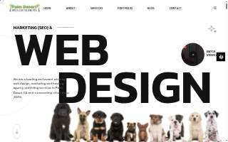 Palm Desert Web Designers of Coachella