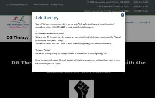 DG Therapy Group website