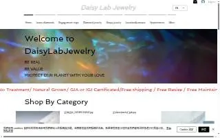 DaisyLabJewelry website