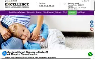 Excellence Carpet Cleaning website