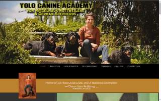Yolo Canine Academy of Davis
