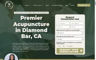 Anesti Acupuncture website