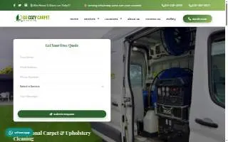 Go Cozy Carpet website