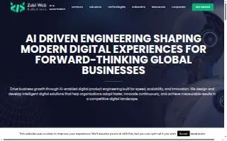 Zobi Web Solutions Private Limited website