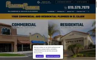 Remedy Rooter website