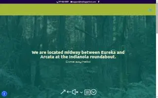 Healing Spirit Animal Wellness Center website