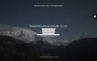 Redwood City Chiropractic website