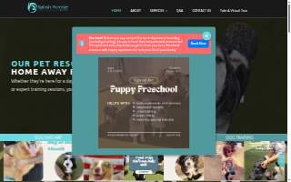 Splash Premier Pet Resort of Fountain Valley