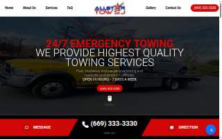 Professional Tax Services LLC