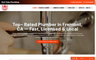 Red Tulip Plumbing