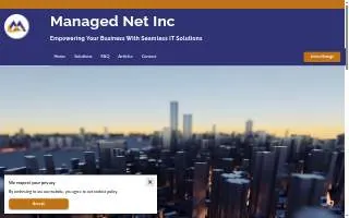 Managed Net Inc website