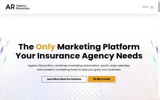 Agency Revolution website