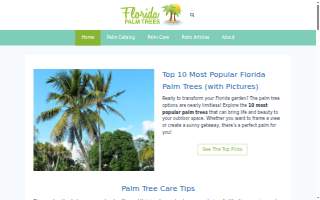 Palms Tree care