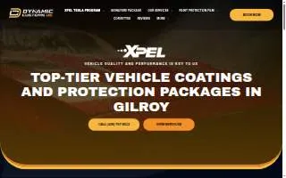 Dynamic Customs US website
