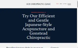 Ace Chiropractic Clinic website