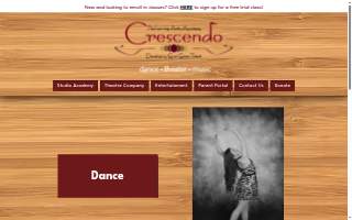 Crescendo Performing Arts Academy
