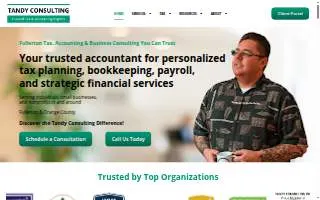 Tandy Consulting Inc website