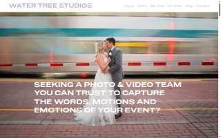 Water Tree Studios