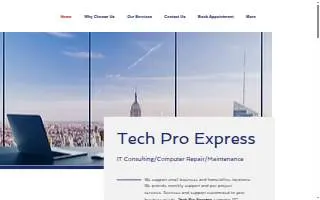 Tech Pro Express website