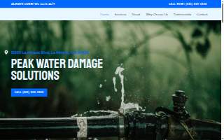 Peak Water Damage Solutions