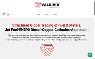 Valdivia Holdings, Inc.