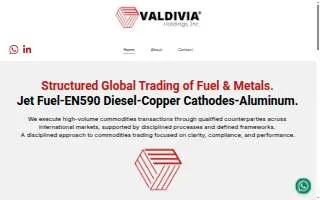 Valdivia Holdings, Inc. website