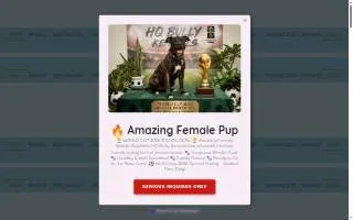 HQ Bully Kennels website